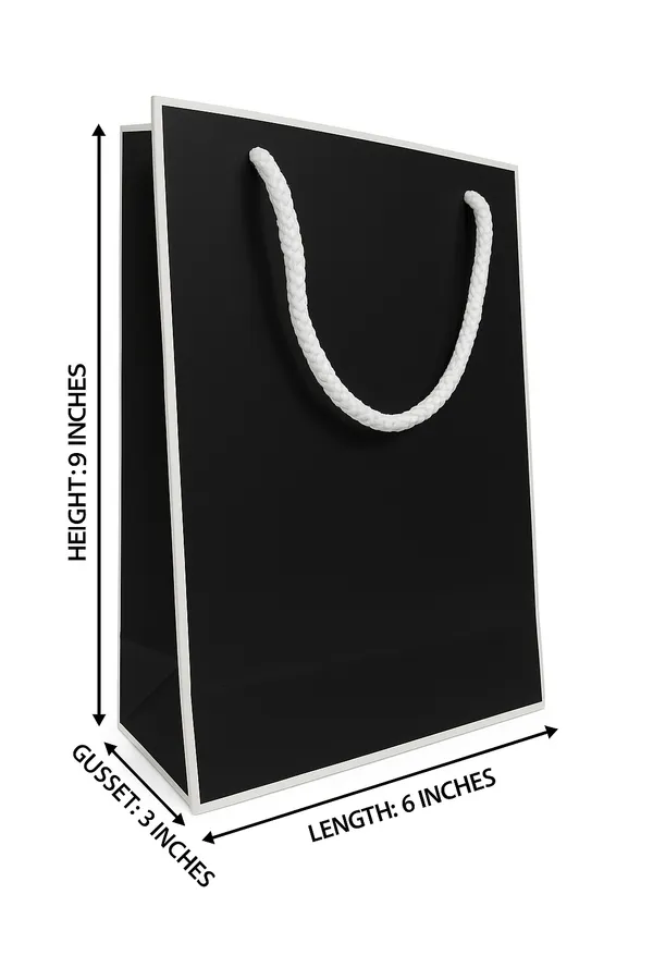 PACK_OF_10_Premium_Black_Paper_Gift_Bag_with_White_Rope_Handles