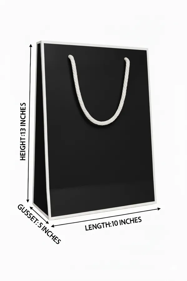 PACK_OF_10_Premium_Black_Paper_Gift_Bag_with_White_Rope_Handles_