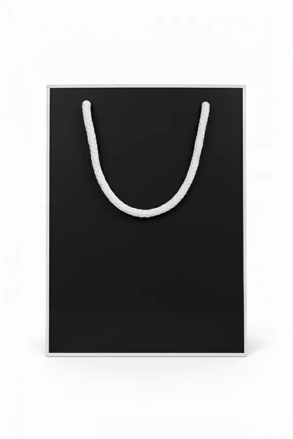 PACK_OF_10_Premium_Black_Paper_Gift_Bag_with_White_Rope_Handles_
