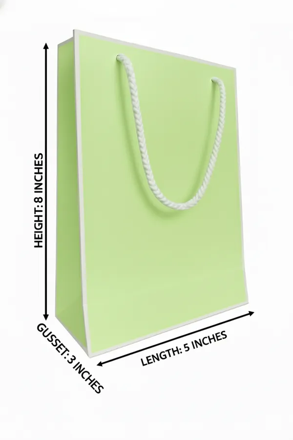 PACK_OF_10_Premium_Pastel_Green_Gift_Bag_with_White_Rope_Handles