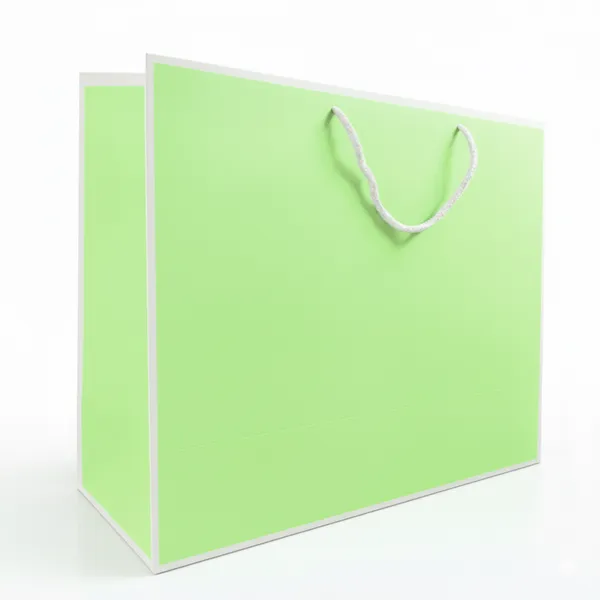 PACK_OF_10_Premium_Pastel_Green_Gift_Bag_with_White_Rope_Handles_