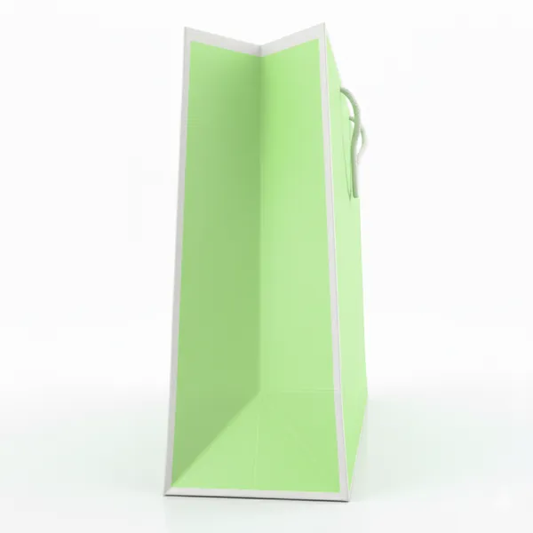 PACK_OF_10_Premium_Pastel_Green_Gift_Bag_with_White_Rope_Handles_