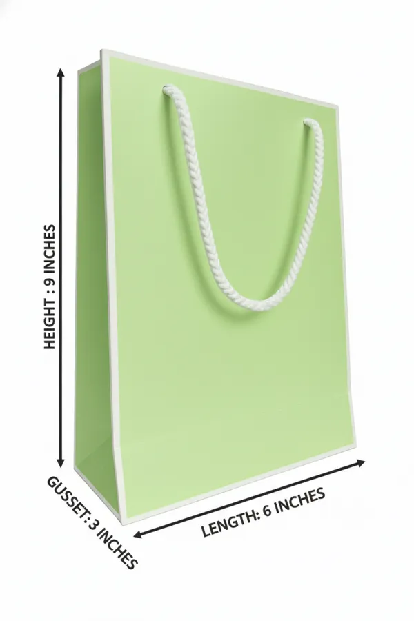 PACK_OF_10_Premium_Pastel_Green_Gift_Bag_with_White_Rope_Handles_