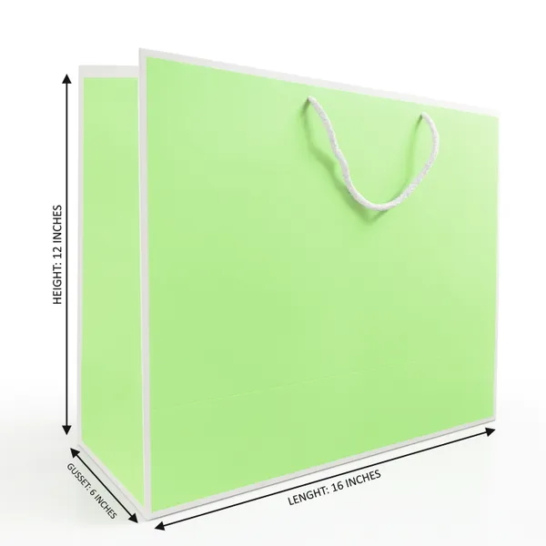 PACK_OF_10_Premium_Pastel_Green_Gift_Bag_with_White_Rope_Handles_