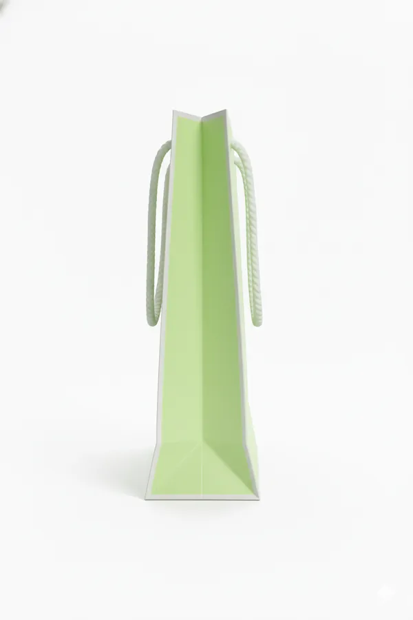 PACK_OF_10_Premium_Pastel_Green_Gift_Bag_with_White_Rope_Handles_