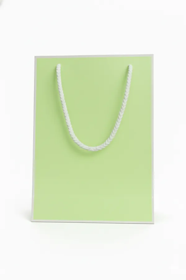 PACK_OF_10_Premium_Pastel_Green_Gift_Bag_with_White_Rope_Handles_