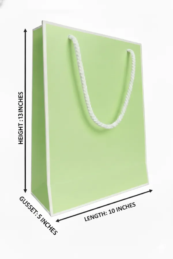 PACK_OF_10_Premium_Pastel_Green_Gift_Bag_with_White_Rope_Handles_