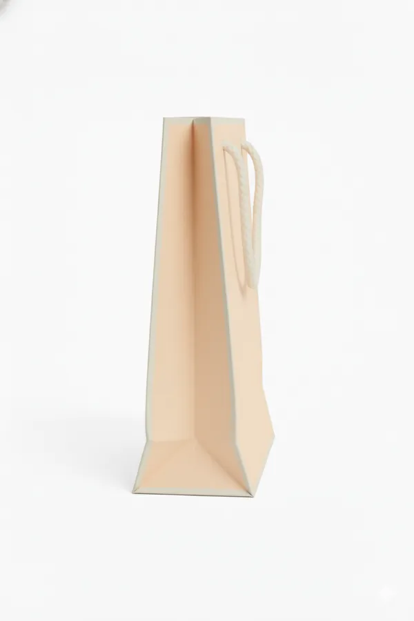 PACK_OF_10_Premium_Peach_Paper_Gift_Bag_with_Rope_Handles