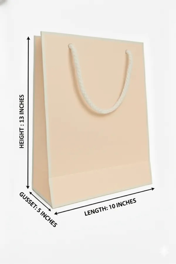 PACK_OF_10_Premium_Peach_Paper_Gift_Bag_with_Rope_Handles