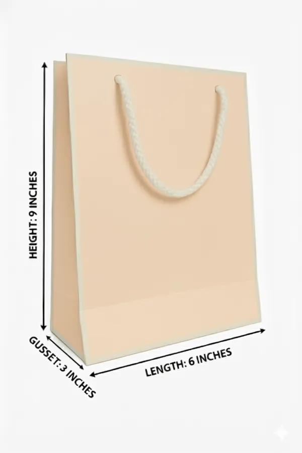 PACK_OF_10_Premium_Peach_Paper_Gift_Bag_with_Rope_Handles