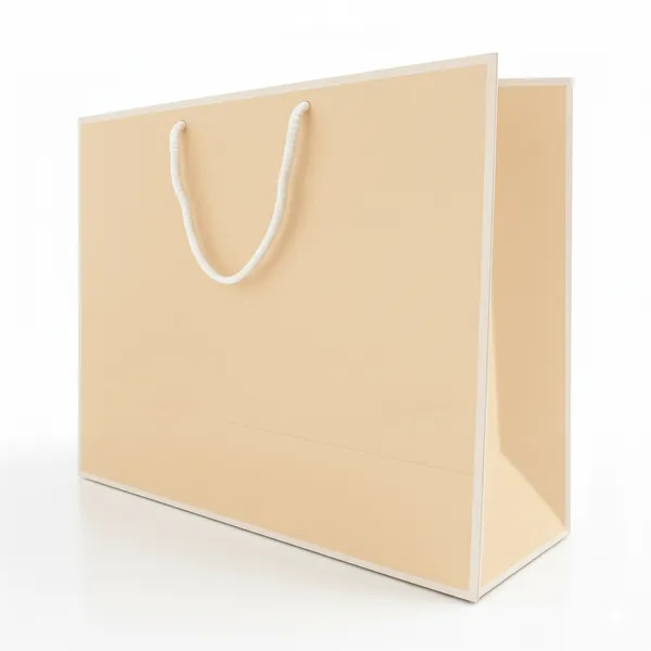 PACK_OF_10_Premium_Peach_Paper_Gift_Bag_with_Rope_Handles