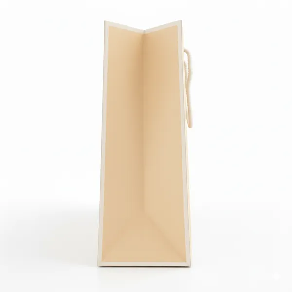 PACK_OF_10_Premium_Peach_Paper_Gift_Bag_with_Rope_Handles
