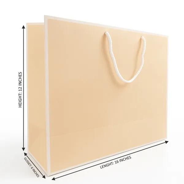 PACK_OF_10_Premium_Peach_Paper_Gift_Bag_with_Rope_Handles