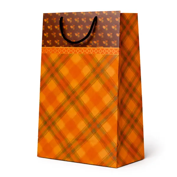 (PACK_OF_10)_Kraft_Paper_Gift_Bag_With_Autumn_Check_Pattern
