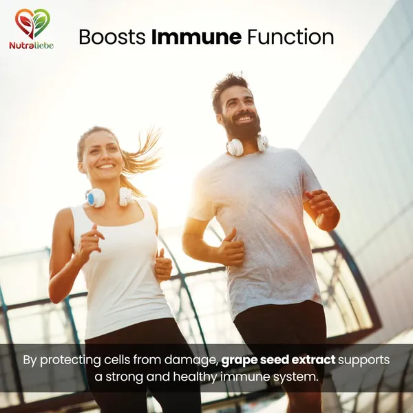 Opc_Grape_Seed_Extract_Capsules_Minimum_95_Opcs_Powerful_Antioxidant_Support_90_Capsules