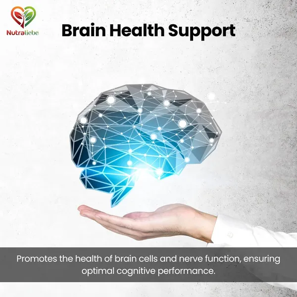 Phosphatidylcholine_Phosphatidylserine_Complex_Brain_Cognitive_Support_With_Vitamin_B12_B6_90_Capsules