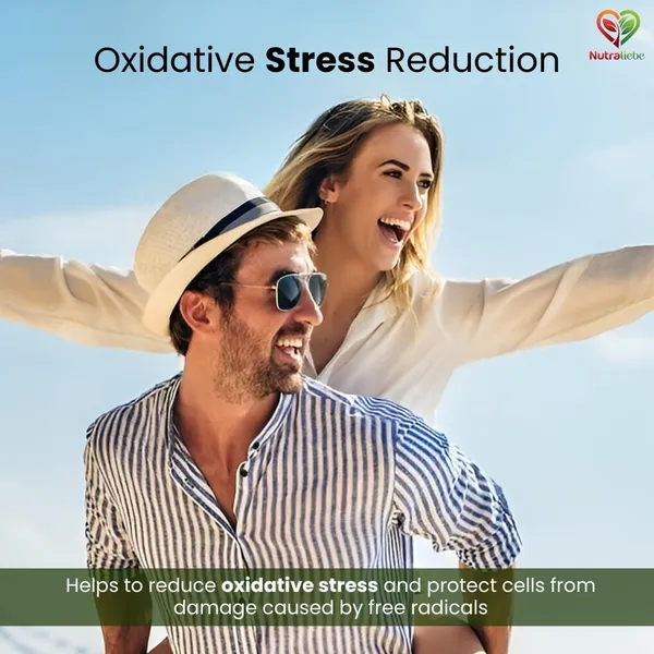 Berberine_Extract_98_From_Berberis_Aristata_Stem_Premium_Supplement_Non_Gmo_90_Capsules