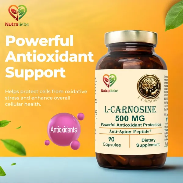 L_Carnosine_500Mg_Premium_Antioxidant_And_Anti_Aging_Support_90_Capsules