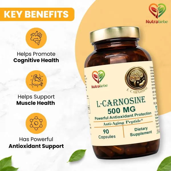 L_Carnosine_500Mg_Premium_Antioxidant_And_Anti_Aging_Support_90_Capsules