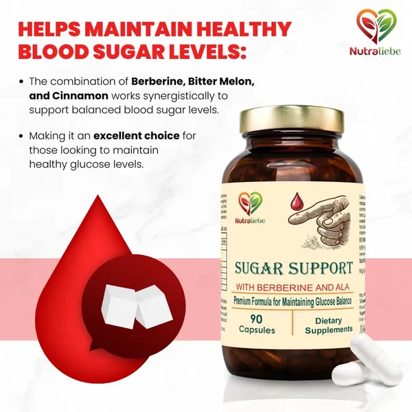 Premium_Blood_Sugar_Support_Natural_Glucose_Control_With_Berberine_Bitter_Melon_Cinnamon_90_Capsules