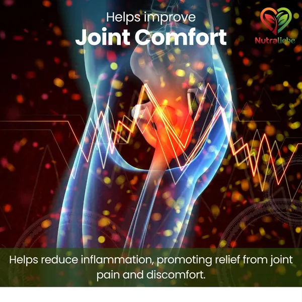 Pea_400Mg_Palmitoylethanolamide_Supports_Joint_Comfort_Immune_Response_And_Nerve_Health_90_Capsules
