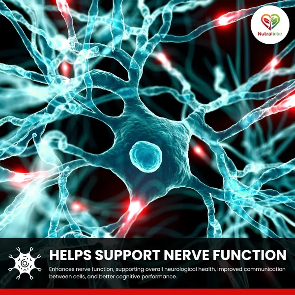 Pqq_20_Mg_Pyrroloquinoline_Quinone_Supplement_Cellular_Energy_Mitochondrial_Support_High_Absorption_90_Capsules
