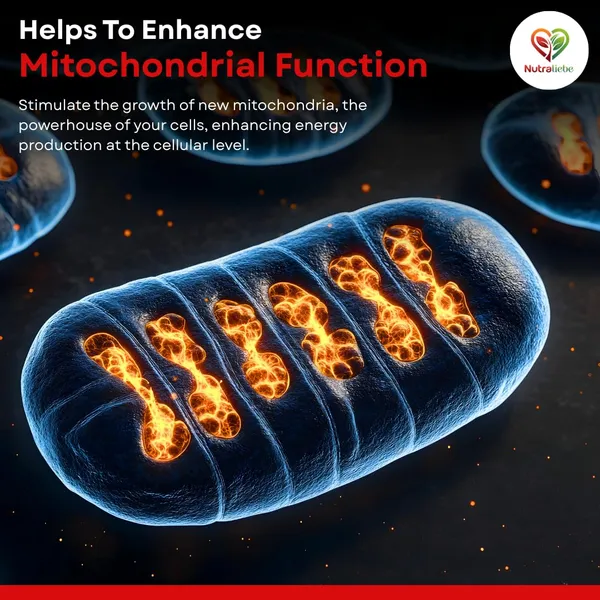 Pqq_20_Mg_Pyrroloquinoline_Quinone_Supplement_Cellular_Energy_Mitochondrial_Support_High_Absorption_90_Capsules