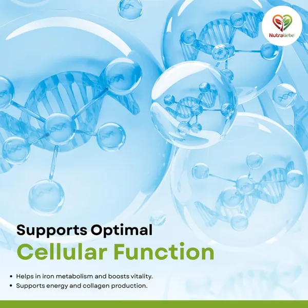 Zinc_Methionine_25_Mg_High_Absorption_Chelated_Zinc_Supplement_Supports_Immune_Health_Skin_Hair_90_Capsules