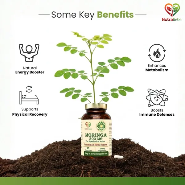 Moringa_Leaf_Extract_500Mg_90_Vegetarian_Capsules_Natural_Superfood_For_Energy_Immunity_Detox_Rich_In_Antioxidants_Vitamins_Minerals_Plant_Based_Daily_Wellness_Support