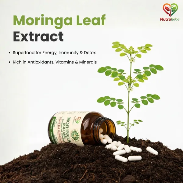 Moringa_Leaf_Extract_500Mg_90_Vegetarian_Capsules_Natural_Superfood_For_Energy_Immunity_Detox_Rich_In_Antioxidants_Vitamins_Minerals_Plant_Based_Daily_Wellness_Support