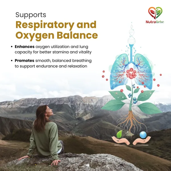 Ashwagandha_Root_Extract_600_Mg_Withania_Somnifera_Standardized_To_5_Withanolides_Stress_Relief_Energy_Focus_Hormonal_Balance_Adaptogenic_Ayurvedic_Herb_90_Vegetarian_Capsules_Non_Gmo_Gluten_Free
