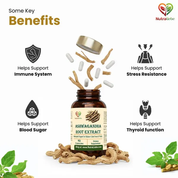 Ashwagandha_Root_Extract_600_Mg_Withania_Somnifera_Standardized_To_5_Withanolides_Stress_Relief_Energy_Focus_Hormonal_Balance_Adaptogenic_Ayurvedic_Herb_90_Vegetarian_Capsules_Non_Gmo_Gluten_Free