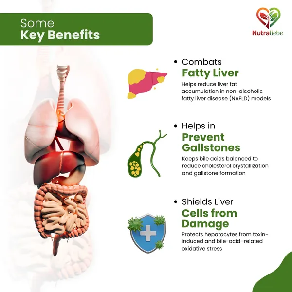 Tudca_600_Mg_Tauroursodeoxycholic_Acid_Advanced_Liver_Gallbladder_Support_Cellular_Detox_Bile_Flow_Antioxidant_Protection_90_Vegetarian_Capsules_Non_Gmo_Gluten_Free_Gmp_Certified