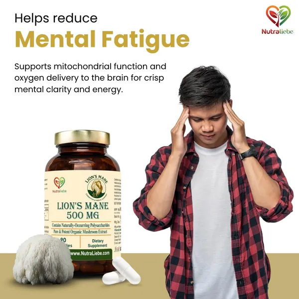 Lion_S_Mane_Mushroom_Extract_500_Mg_Hericium_Erinaceus_Standardized_To_Beta_1_3_1_6_Glucans_Brain_Health_Memory_Focus_Support_Nerve_Growth_Factor_Ngf_Booster_90_Vegetarian_Capsules_Non_Gmo_Gluten_Free