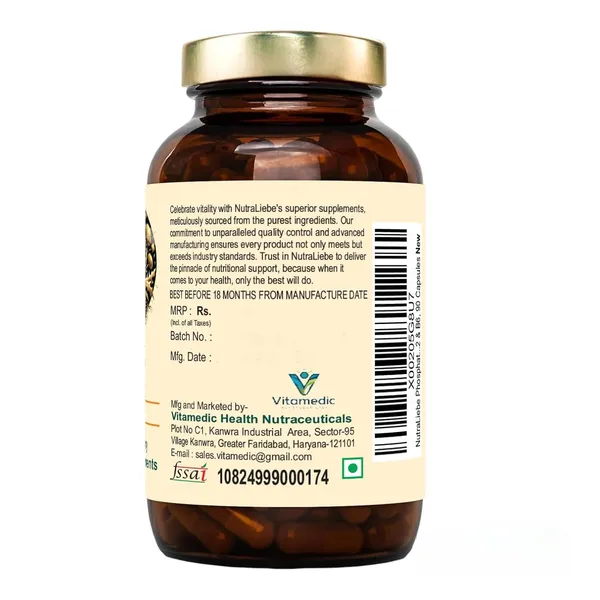 Lion_S_Mane_Mushroom_Extract_500_Mg_Hericium_Erinaceus_Standardized_To_Beta_1_3_1_6_Glucans_Brain_Health_Memory_Focus_Support_Nerve_Growth_Factor_Ngf_Booster_90_Vegetarian_Capsules_Non_Gmo_Gluten_Free