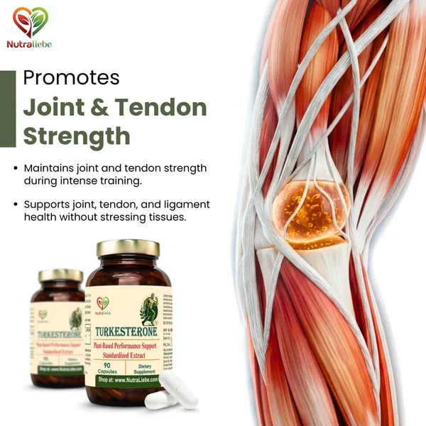 Turkesterone_500_Mg_Ajuga_Turkestanica_Extract_Standardized_To_10_Turkesterone_Natural_Muscle_Growth_Strength_Recovery_Support_Adaptogenic_Plant_Based_Anabolic_90_Vegetarian_Capsules_Non_Gmo_Gluten_Free