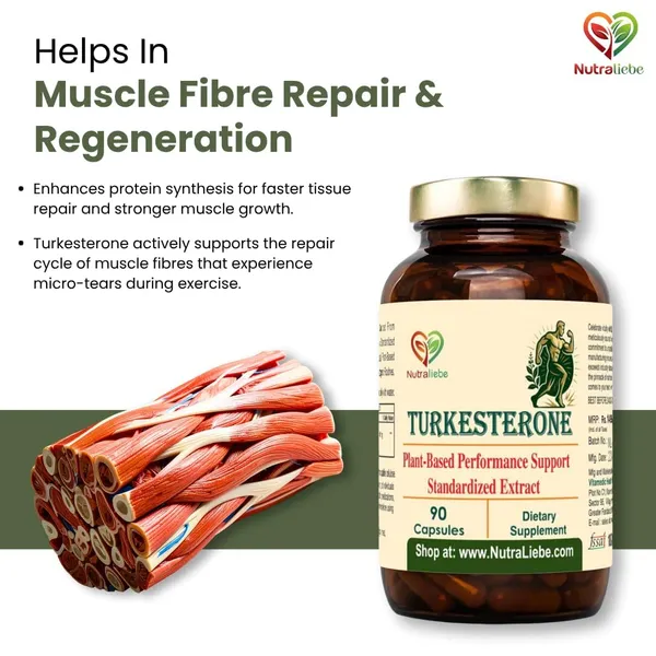 Turkesterone_500_Mg_Ajuga_Turkestanica_Extract_Standardized_To_10_Turkesterone_Natural_Muscle_Growth_Strength_Recovery_Support_Adaptogenic_Plant_Based_Anabolic_90_Vegetarian_Capsules_Non_Gmo_Gluten_Free