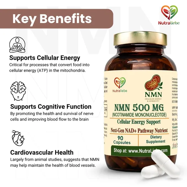 Nmn_Nicotinamide_Mononucleotide_500_Mg_Nad_Precursor_For_Cellular_Energy_Anti_Aging_Dna_Repair_Supports_Brain_Metabolism_Mitochondrial_Health_90_Veg_Capsules_Non_Gmo_Gluten_Free