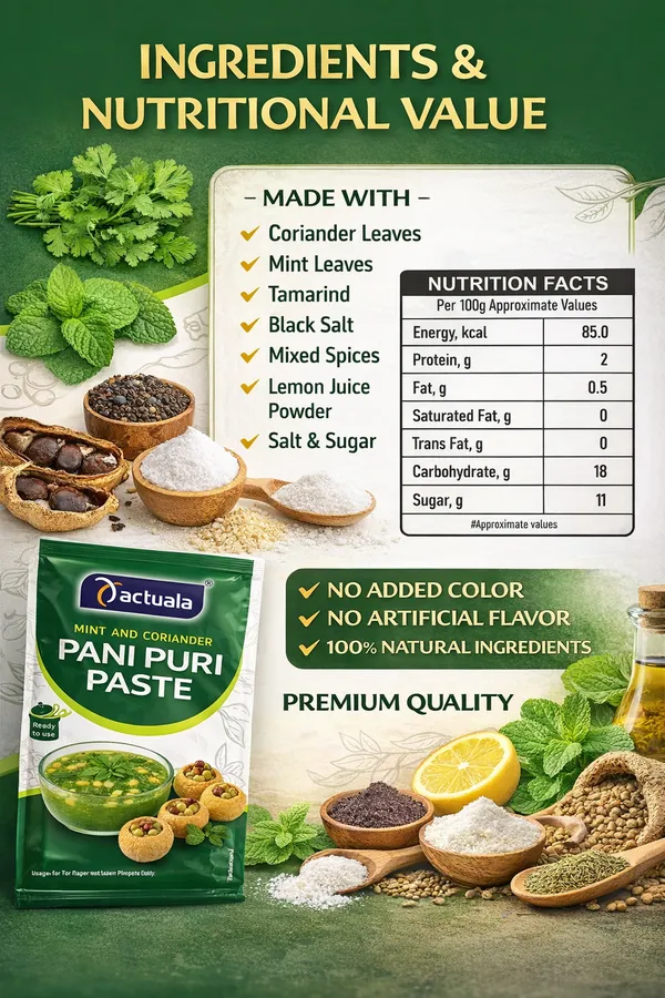 Aactuala_Pani_Puri_Paste_(40G_Each)_-_Pack_Of_24_(960_G)