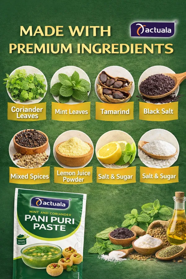 Aactuala_Pani_Puri_Paste_(40G_Each)_-_Pack_Of_24_(960_G)