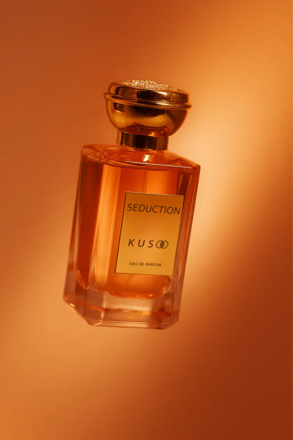 SEDUCTION_-_Magnetism_Unveiled