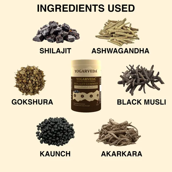 Yogarveda_Shilajit_Gummies_(Pack_Of_2_120_Tablets)