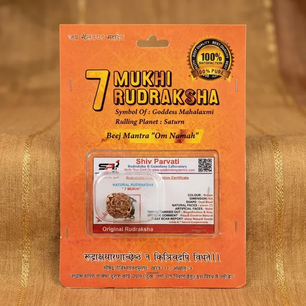 7_Mukhi_Rudraksha