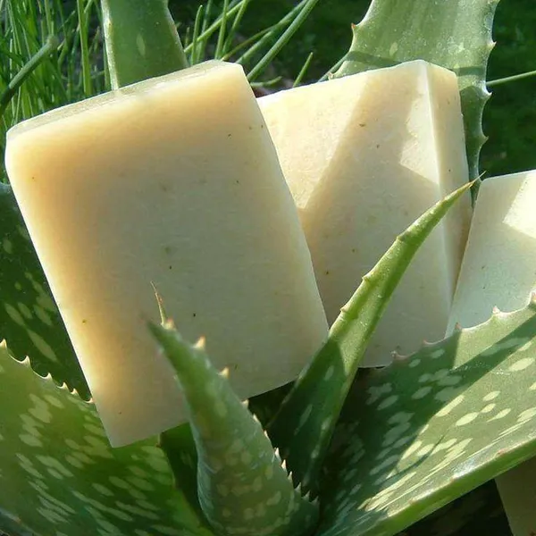 Herbal_Organic_Aloe_Vera_Soap_Natural_Hydration_Skin_Care_Pack_Of_2