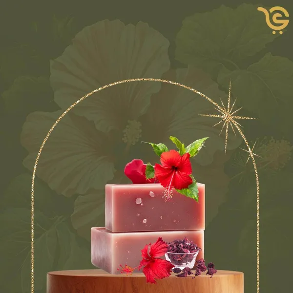 Herbal_Skin_Cleanser_Nourishing_Care_Hibiscus_Soap_Herbal_Skin_Cleanser_Nourishing_Care_Pack_Of_2