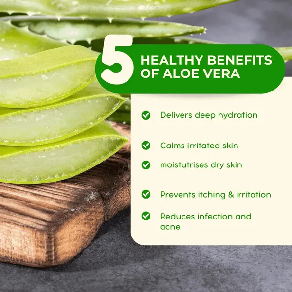 Organic_Glycerine_Aloe_Vera_Soap_For_Deep_Hydration_Gentle_Cleansing_Skin_Brightening_Pack_Of_2