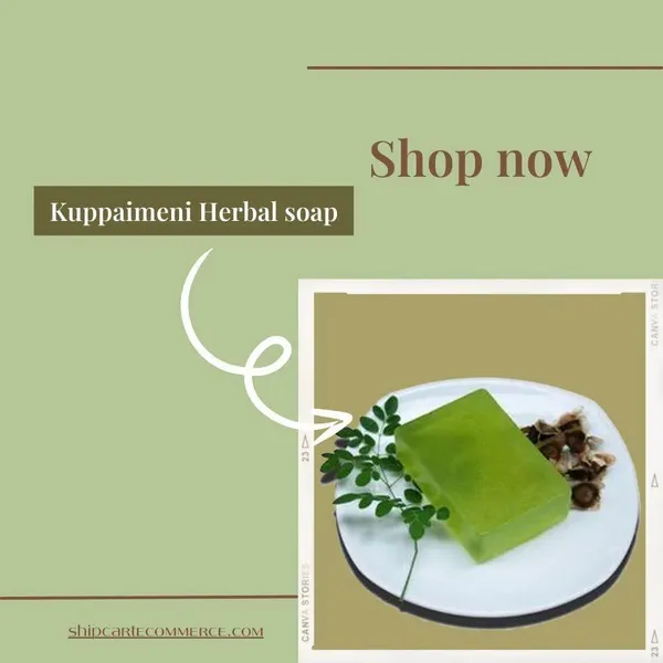 Kuppaimeni_Glycerine_Soap_For_Skin_Purifying_Hydrating_Herbal_Care_Pack_Of_2