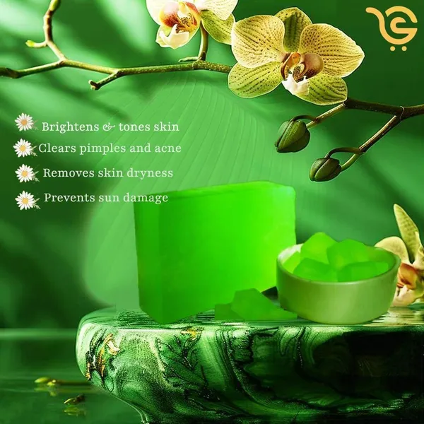 Kuppaimeni_Glycerine_Soap_For_Skin_Purifying_Hydrating_Herbal_Care_Pack_Of_2