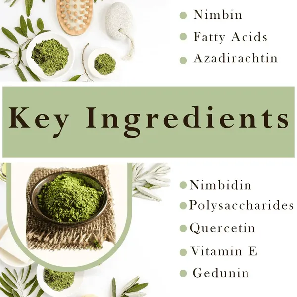 Neem_Face_Pack_Powder_For_Natural_Detox_Acne_Control_Skin_Purification_Pack_Of_2