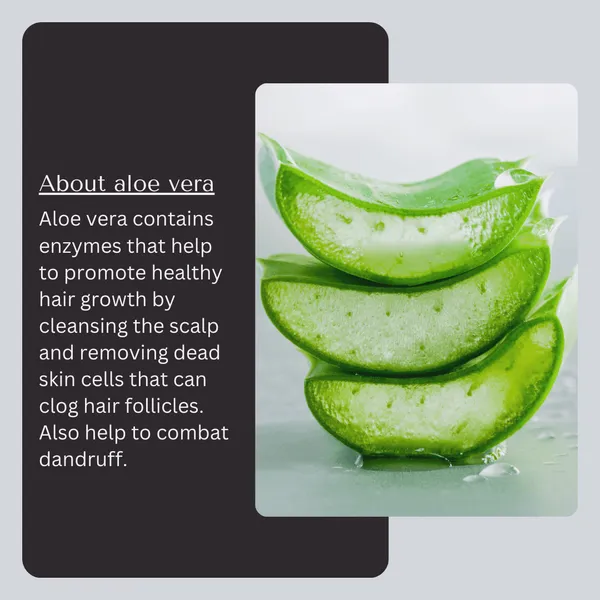 Aloe_Vera_Hair_Pack_Powder_Nourishment_Hydration_Scalp_Care_Pack_Of_2